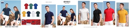POLO,ϾPOLOƹS(chng),ϾPOLOƹS(chng)